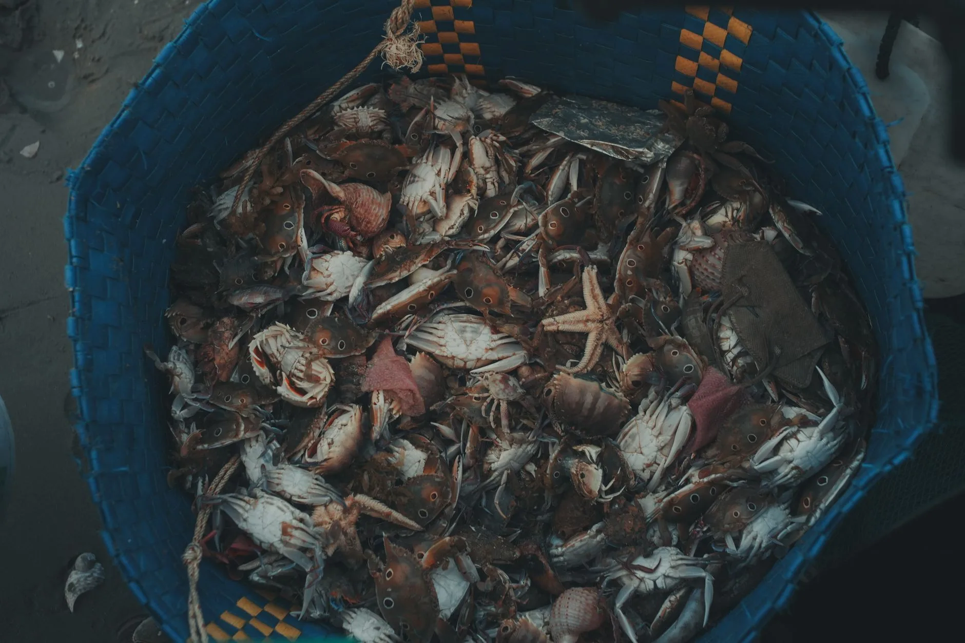 Kep : le village gastronomique aux crabes