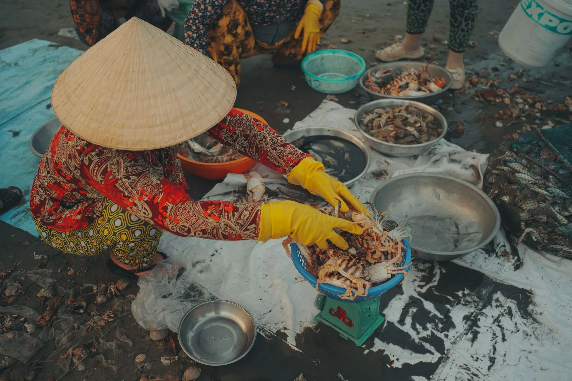 Pourquoi le crabe de Kep est-il si réputé ?