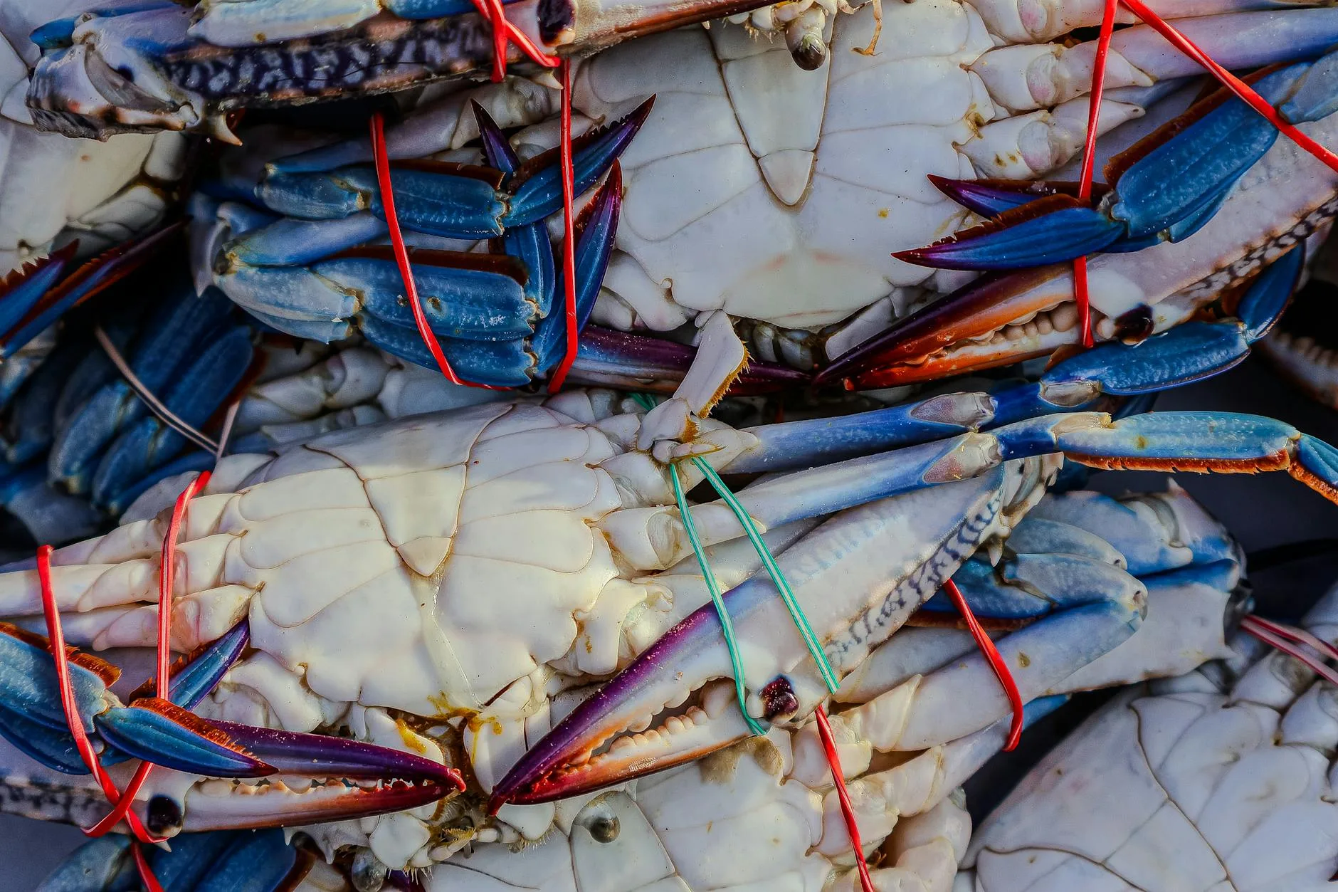 Kep : le marché aux crabes et les incontournables