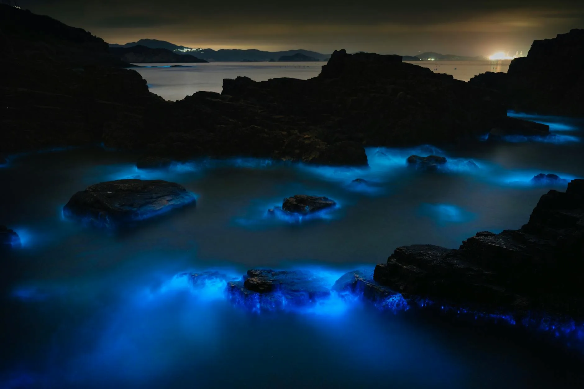 Bioluminescence : le spectacle nocturne