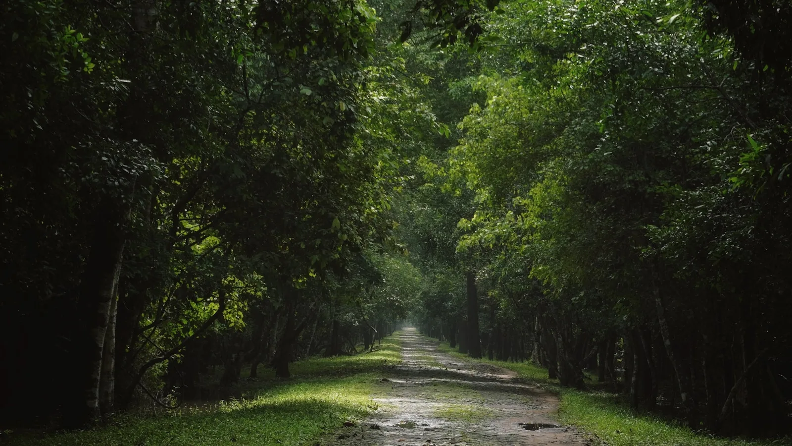 Le Parc national de Kep
