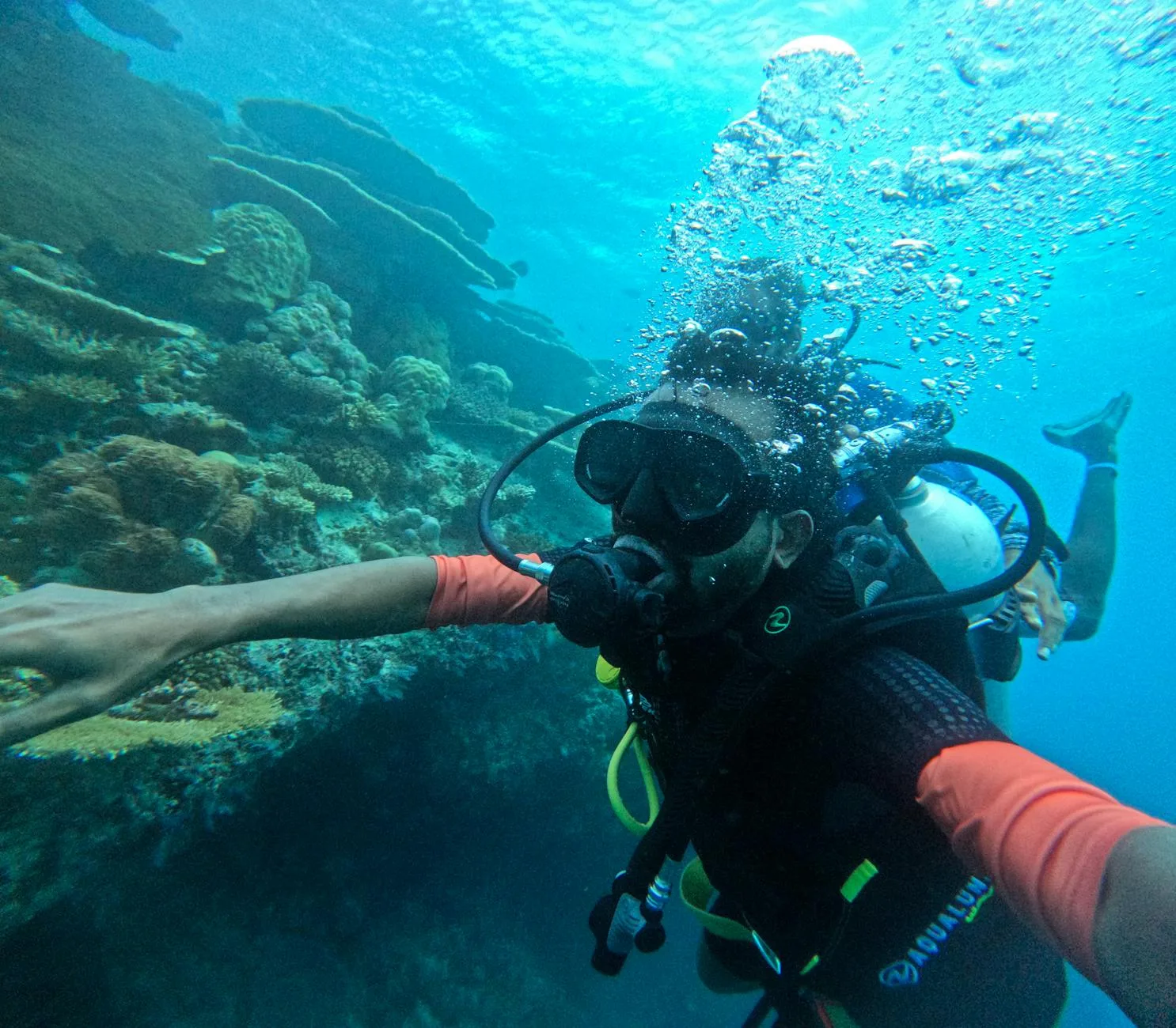 Plongée et snorkeling autour de Sihanoukville